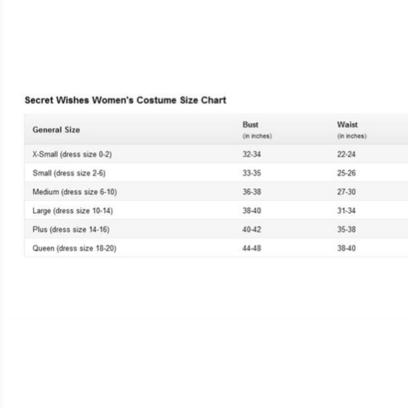 PLAYBOY Other New Secret Wishes Playboy Mansion Security Costume